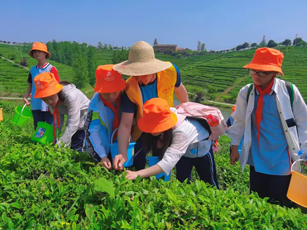 QQ圖片20230715160520 - 副本.jpg